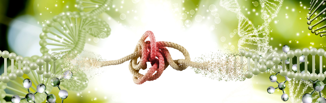 Vanessa Meier-Stephenson tweet media