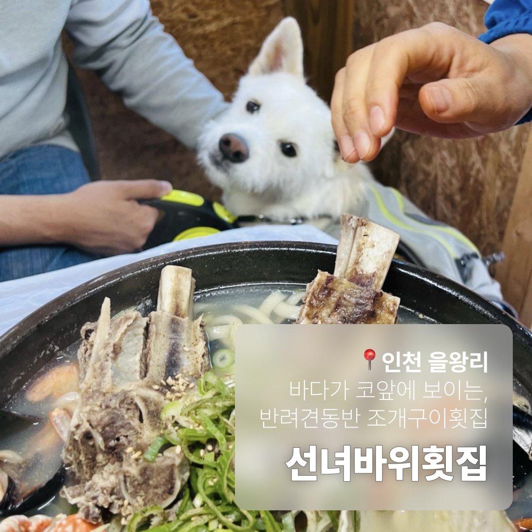 댕댕과 함께 갈 수 있는 횟집이 있다...?!

💙 instagram.com/p/CoD8ZOFSFcN/…