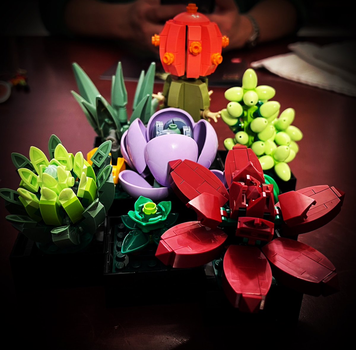 Lego project. Succulents. #AnxietyTools