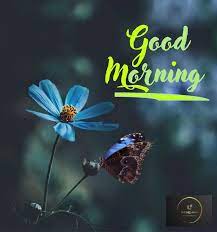 drlalpathlab4's tweet image. 