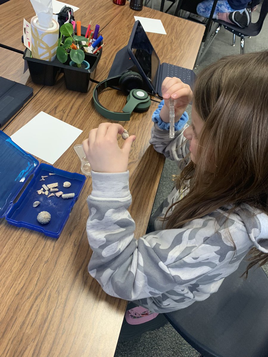 Mrs Eckert tweet media