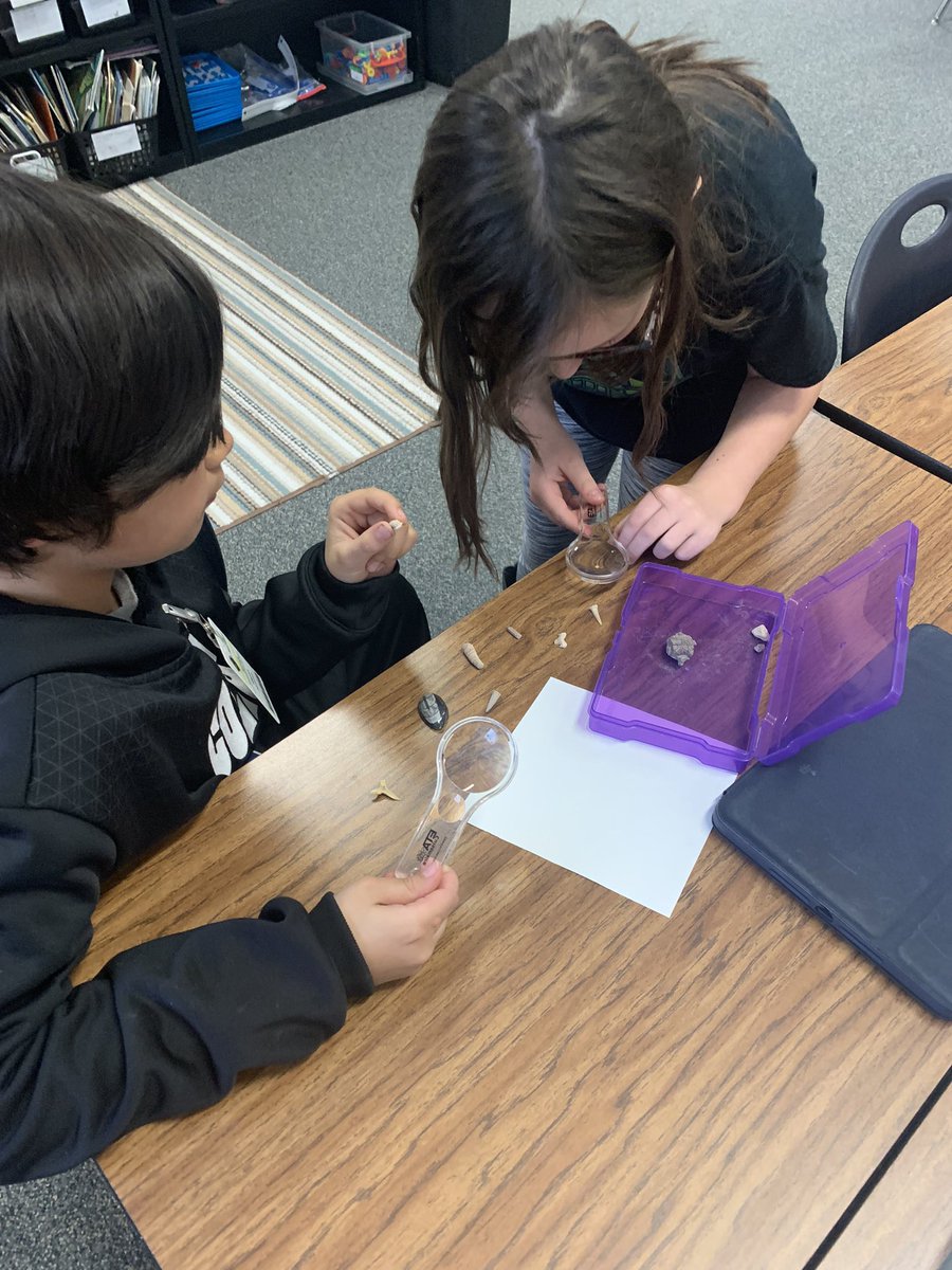 Mrs Eckert tweet media