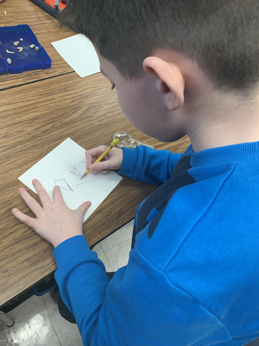 Mrs Eckert tweet media