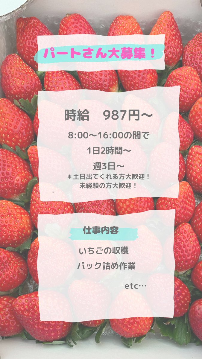 いちごファクトリー (@Ichigofactory_M) / Posts / X