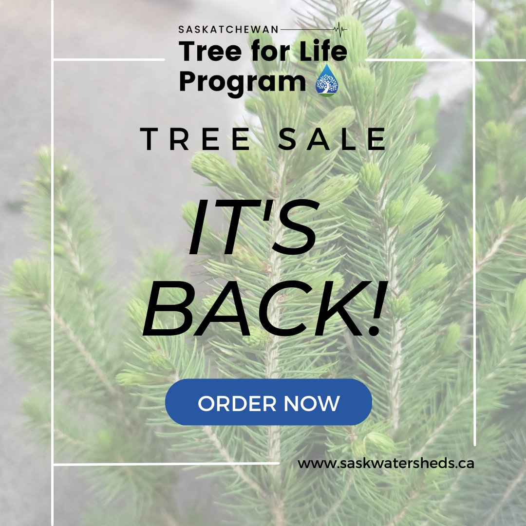 SAWatersheds's tweet image. Tree seedlings are now available to order through the Saskatchewan Tree For Life Program until May 15, 2023. Don&apos;t delay, as quantities are limited! 

To order, visit: …katchewan-tree-for-life.myshopify.com

Thank you for supporting healthy watersheds! 

#SkTreeforLife #Saskatchewan #Watershed