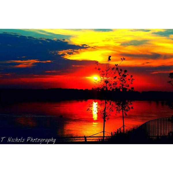 Photography by #TyreNichols 

May he rest in peace.
thiscaliforniakid2.wixsite.com/tnicholsphotog…