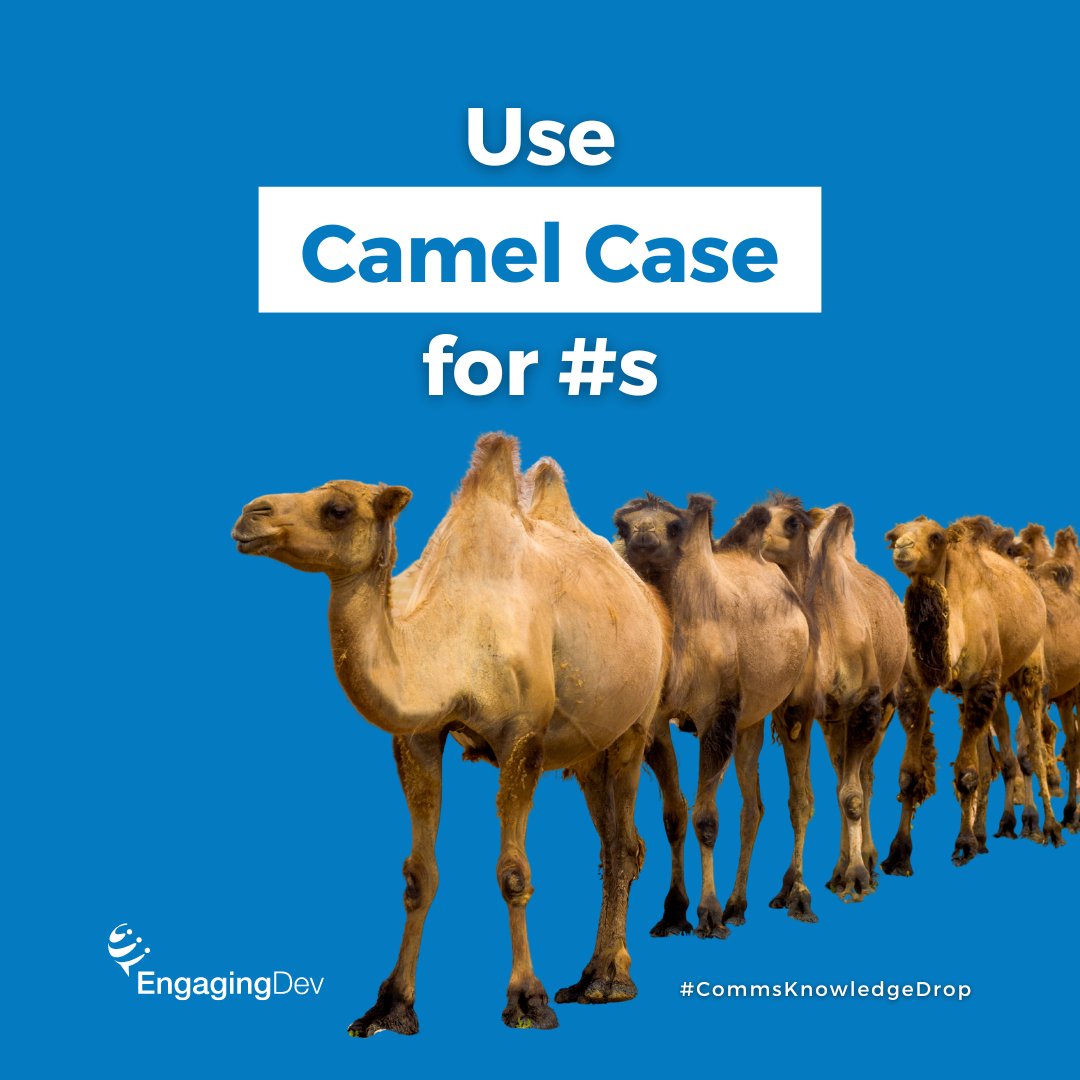 EngagingDev tweet media