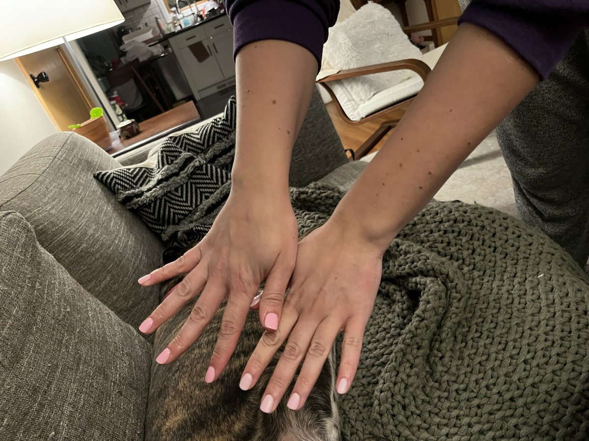 Polly_Mybas's tweet photo. Just painted my nails 2 different colors on accident. Still on vacation mode I guess https://t.co/K4uu6mq789