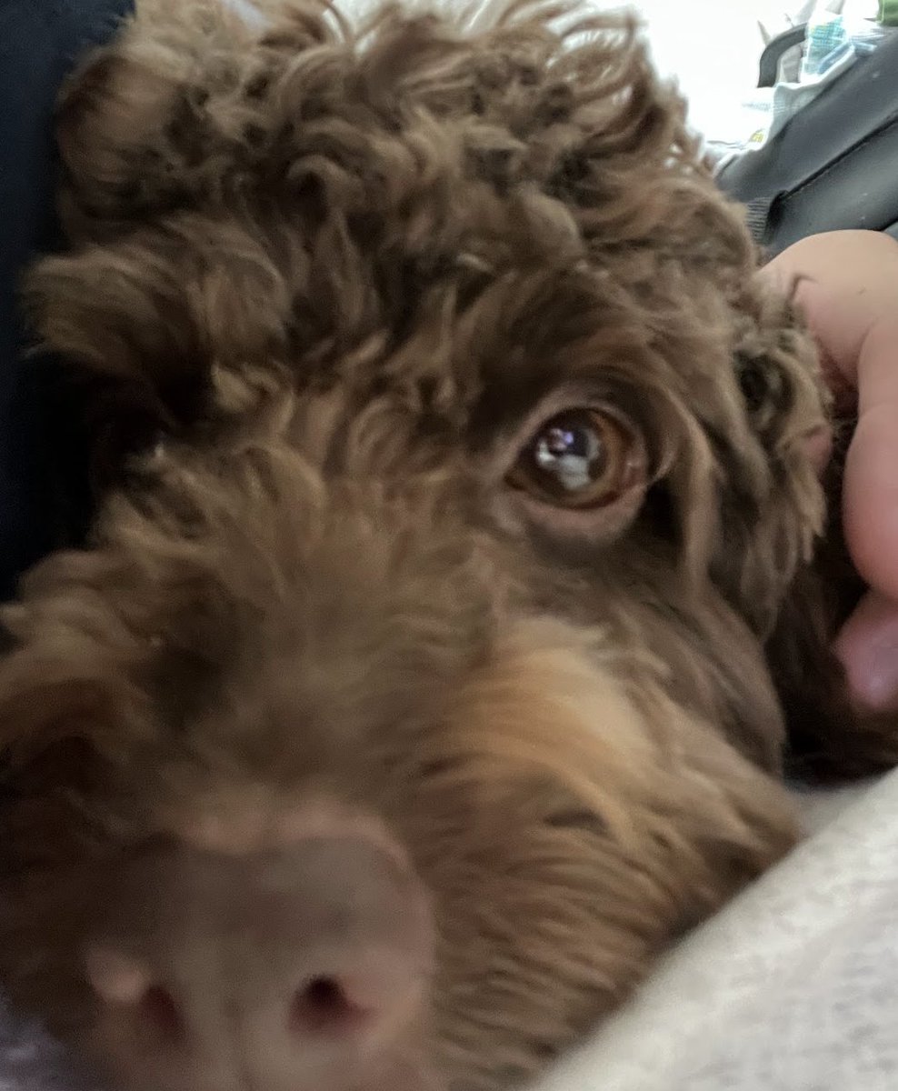 1Leetcode's tweet image. 次、Graph, BFS, DFS