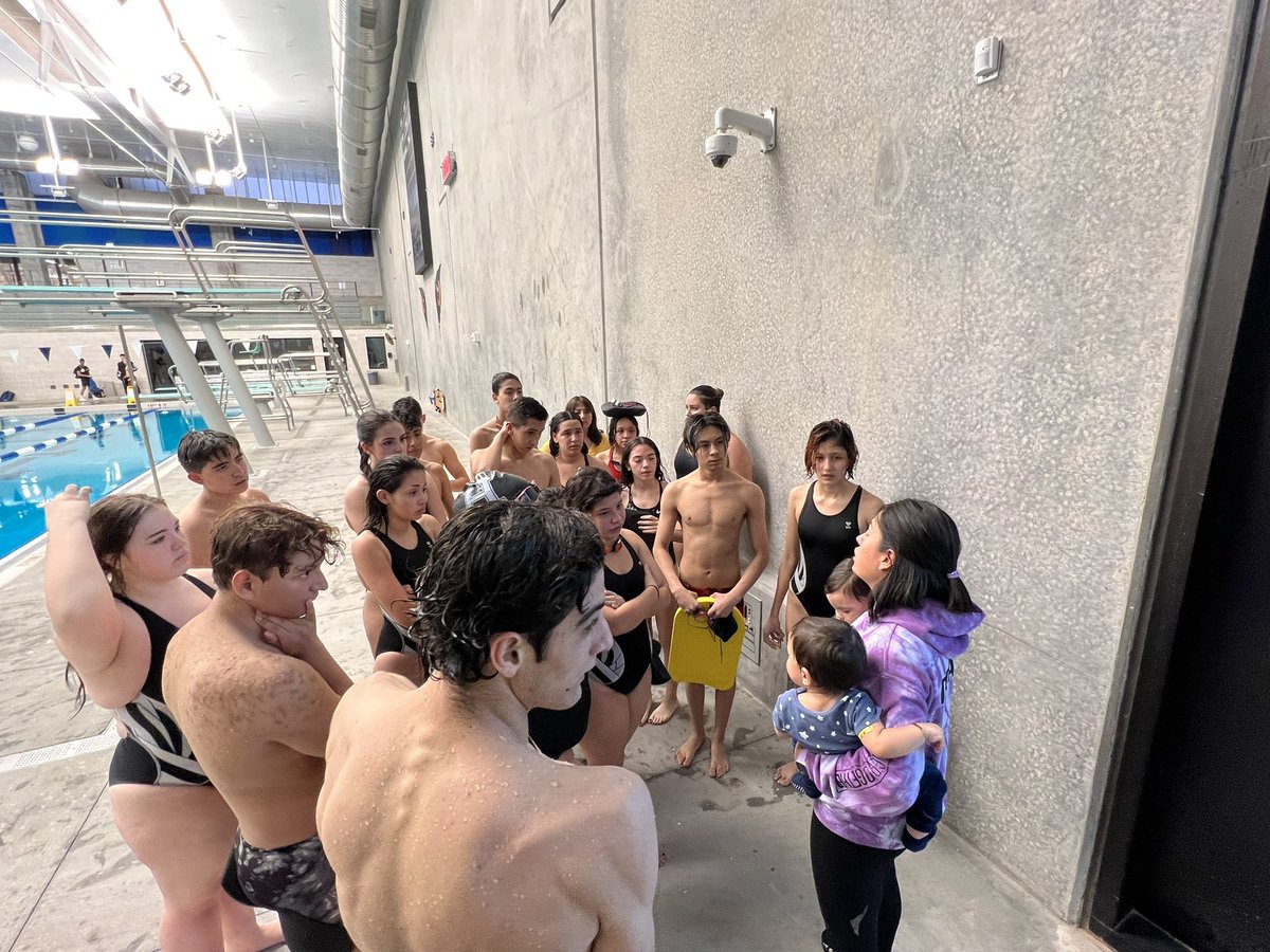 Hanks Swimming tweet media