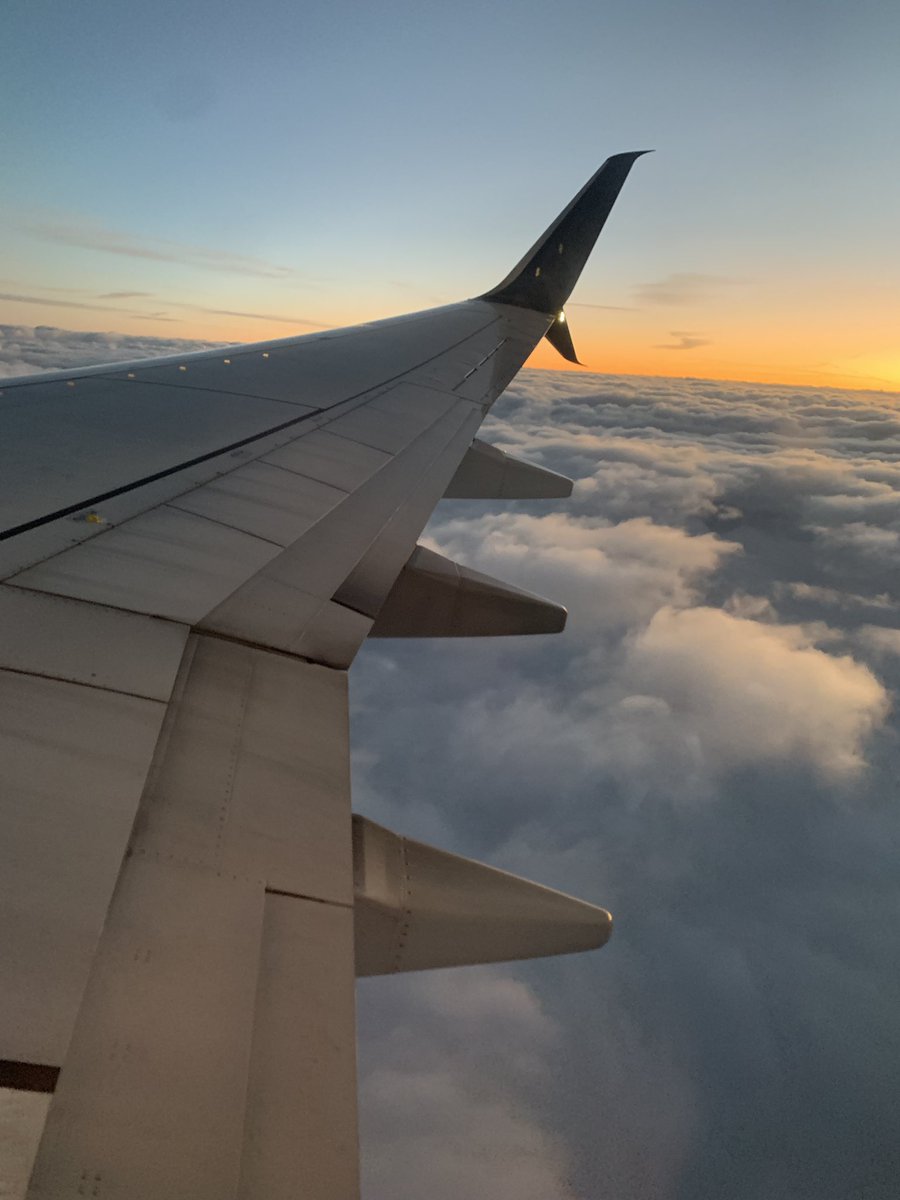 Last week, taking hypoallergenic baby food to Disney World with the fam. This week, IndyCar media day in California. A wild week with my <a href="/thinkTANKphoto/">think TANK Photo</a> airport international. Next week, rest?