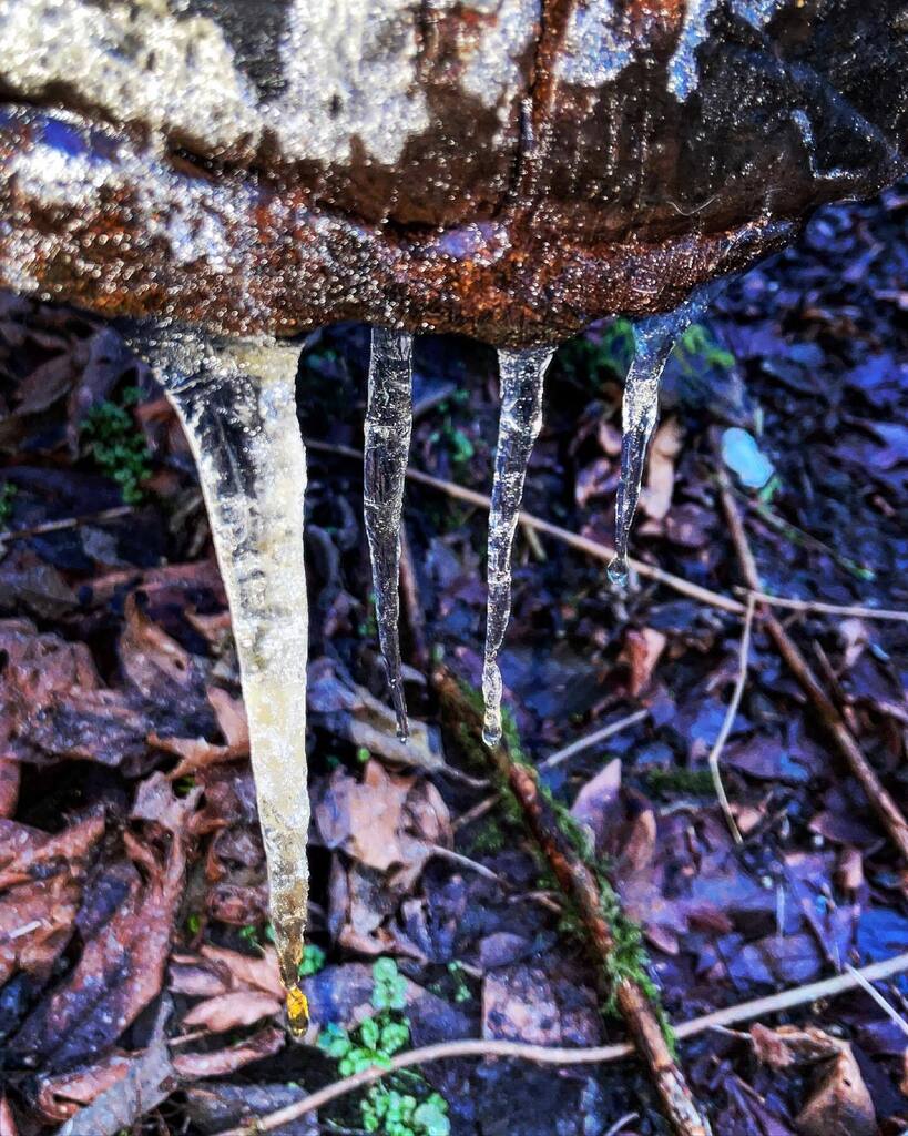 tiina2eyes's tweet image. Super cold 🥶 in the #CarkeekPark! #icicles #icepatterns instagr.am/p/CoEG8nhLcjV/