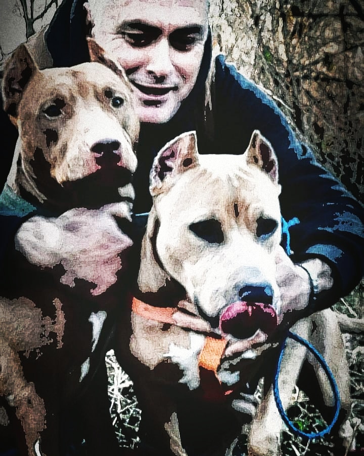 Temo (@temo45459244) on Twitter photo 