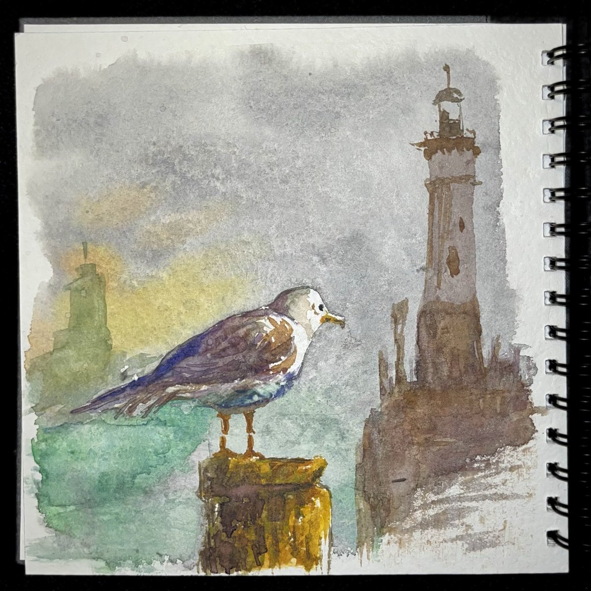MumbleMcMary (@mumblemcmary) on Twitter photo Seagull! I followed the "How to draw a Bird" tutorial by <a href="/shibasaki_art/">Watercolor by Shibasaki🎨柴崎春通</a> "Watercolor by Shibasaki" on YouTube. #seagull #watercolor Seagull! I followed the "How to draw a Bird" tutorial by <a href="/shibasaki_art/">Watercolor by Shibasaki🎨柴崎春通</a> "Watercolor by Shibasaki" on YouTube. #seagull #watercolor