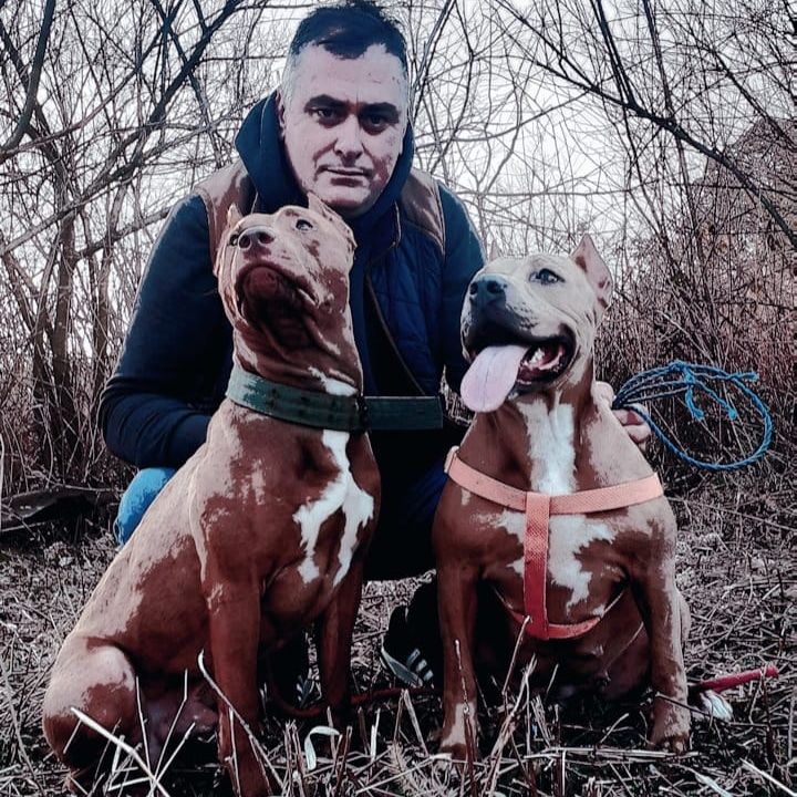 Temo (@temo45459244) on Twitter photo 