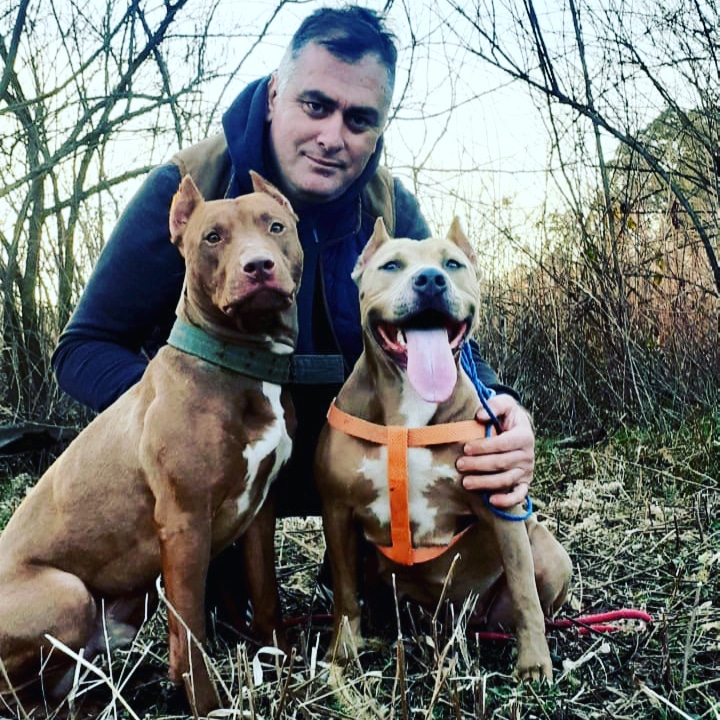 Temo (@temo45459244) on Twitter photo 