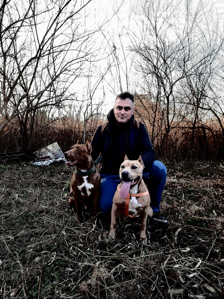 Temo (@temo45459244) on Twitter photo 