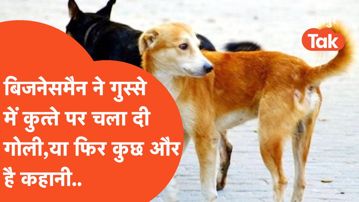 TakKanpur's tweet photo. Kanpur News: बीजनेसमैन ने गुस्से में कुत्ते पर चला दी गोली, या फिर कुछ और है कहानी...
वीडियो देखने के लिए लिंक पर जाएं
https://t.co/EvRq8VOjoh
#kanpurnews #dogshot #kanpurpolice https://t.co/SbdZMX95j1