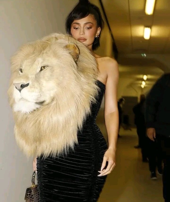 _wmel's tweet image. Yo saliendo a comprar pan mañana.... 
Gloriosos leones del caracas #Campeones @leones_cbbc