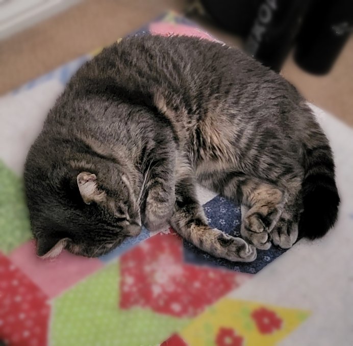 MakingMagitek's tweet image. Thank you, everyone! For an amazing launch day! As a solo creator, I wasn't sure what to expect, but everyone really brightened my day with their interest and comments. &amp;lt;3

I'm working hard to pack your orders tonight, and my little helper, Hazy, is helping (sleeping) nearby.