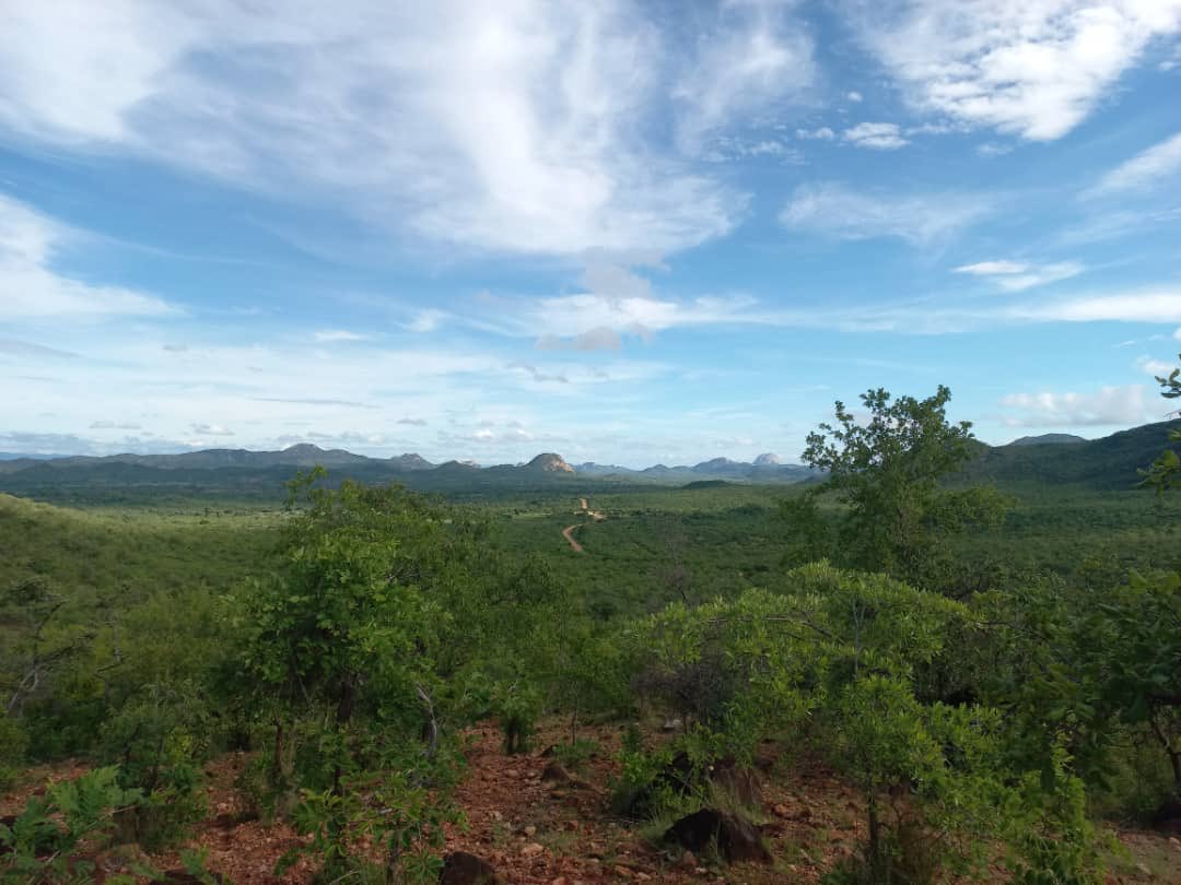 ILCTSX's tweet photo. We have announced that we are actively looking at opportunities in Zimbabwe. This is one of our big themes in 2023 alongside getting resource estimates out for Raleigh Lake in Ontario. https://t.co/UIrN1AghZb