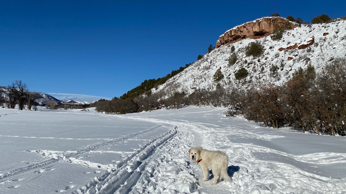 FLCProvost's tweet photo. Winter might just be our favorite season @FLCDurango!  White snow, blue skies, red rocks--what combination could be better? https://t.co/mFchAXV5QS