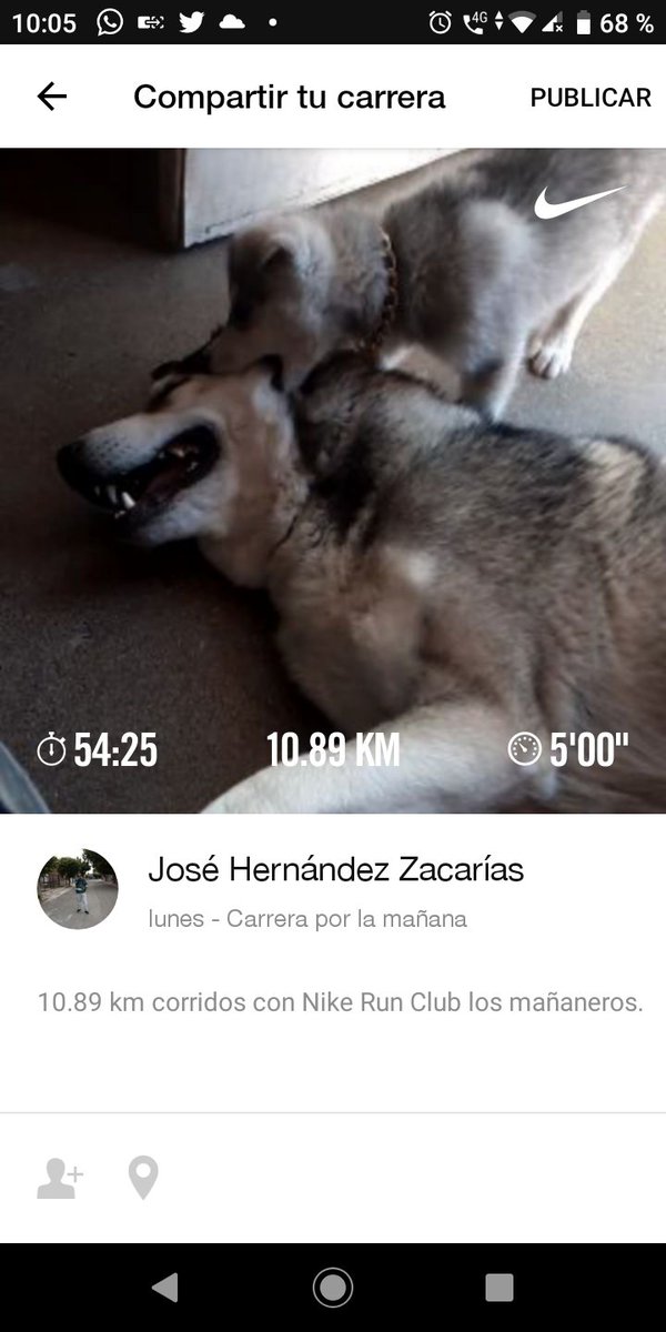 JoseHer19149626's tweet image. Hoy fueron 23k.
120 lagartijas
O sentadillas , descanso
#Reto50k #Reto2023kms @flakushis  @ManicomioRunner @CorroAMiPaso @EntreRunners @pasion_running  @ComuniRunners 
@TWRT @MeEncantaCorrer