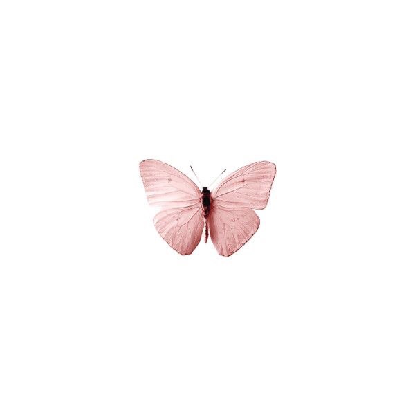 al_aa_19's tweet photo. انثروا اللُطف أينما حللتم وارتحلتم ♥️
Spread the kindness wherever you come and travel.

﮼انگليزيه https://t.co/M1yLe4n3UK