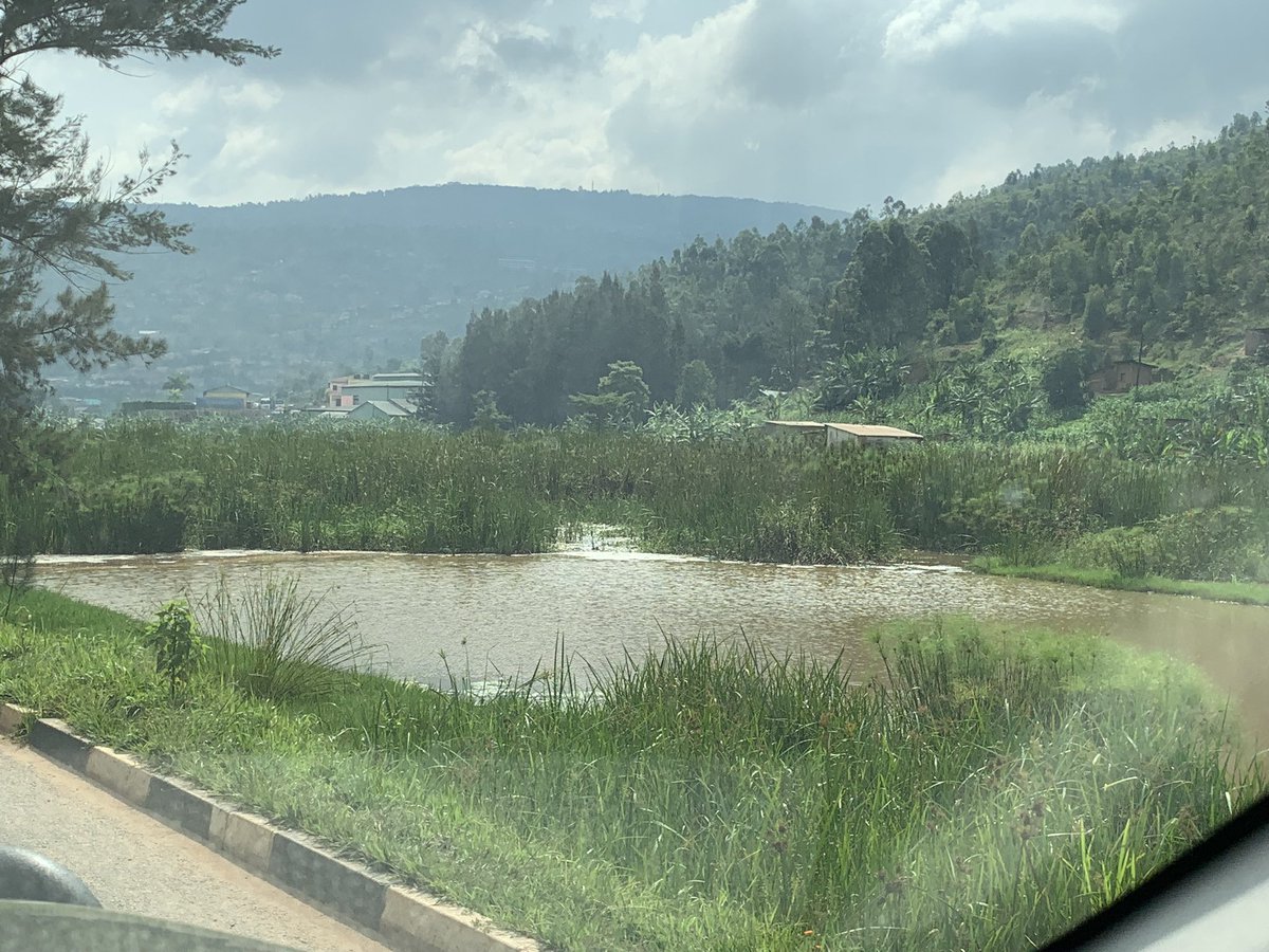 Mapendo MINDJE (Frogman of Rwanda) 🇷🇼 🐸 tweet media
