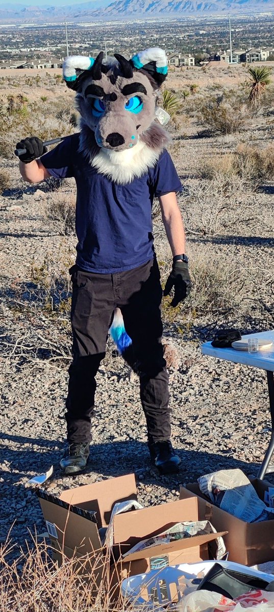 Zephyr_HYBRID's tweet image. Fursuit smash party 👀