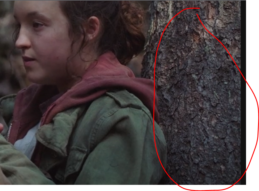 Adam ™ Ford tweet media