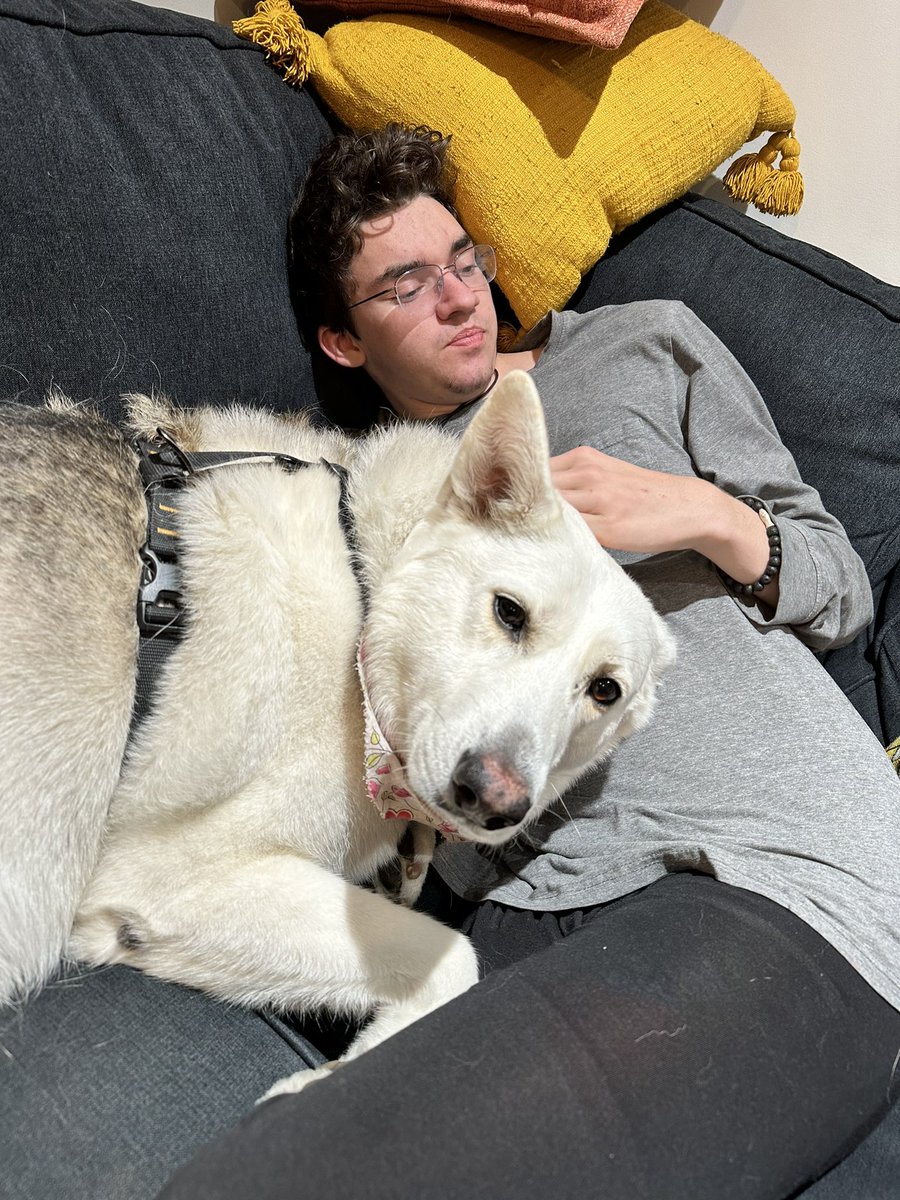 Amie Brockway dash Metcalf tweet media