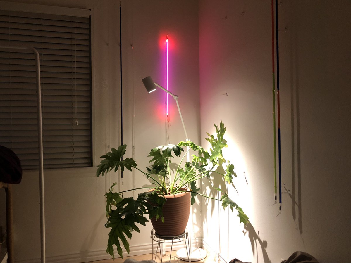 ani_data's tweet image. 