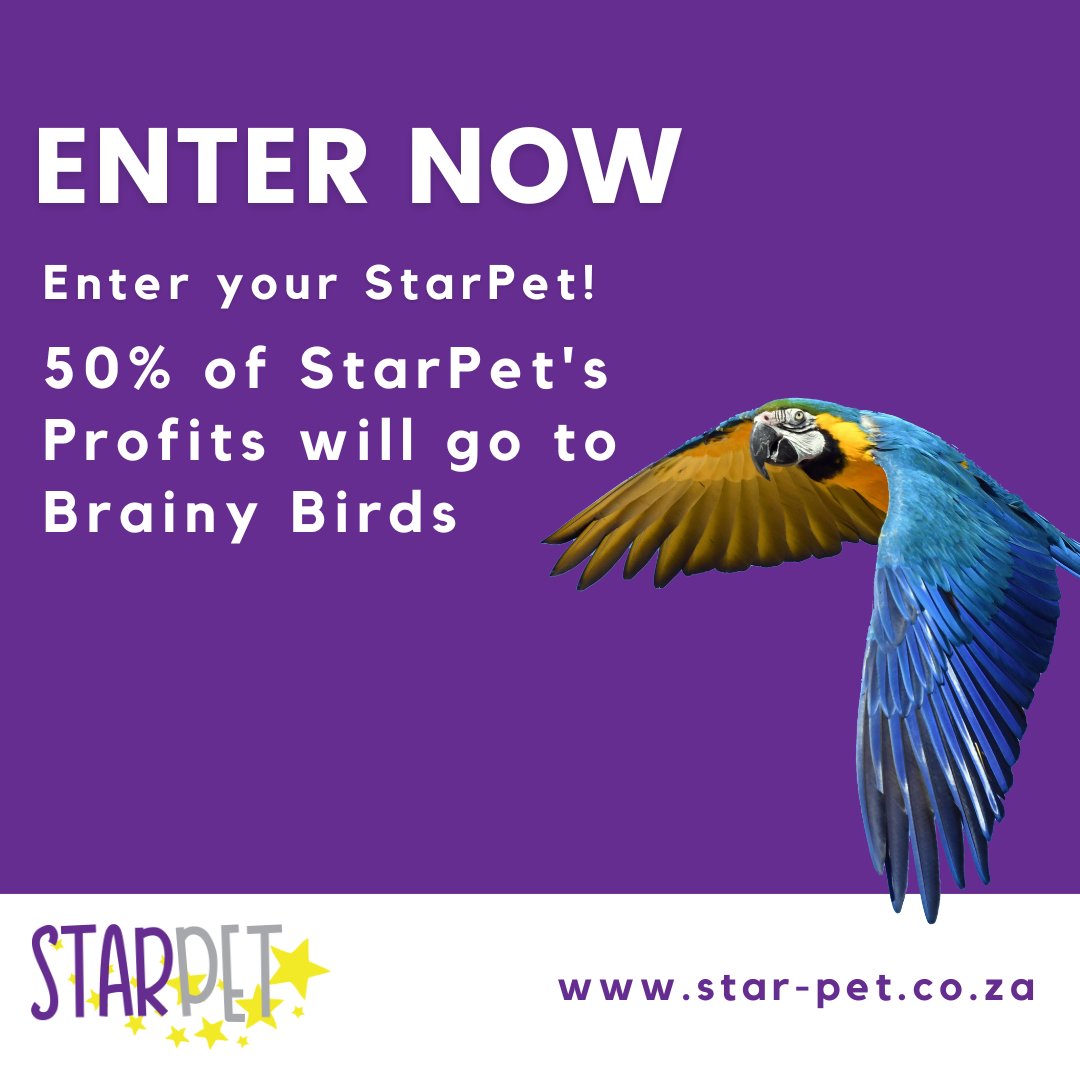 Time is running out to enter the Feb @StarPetSA competition!  Enter & support us. We get 50% of profits generated & you stand to win a share of R22,500 in prizes. #competition #givingback #charity #spreadthelove #petsrule #adoptdontshop #AbsolutePets
Star-pet.co.za