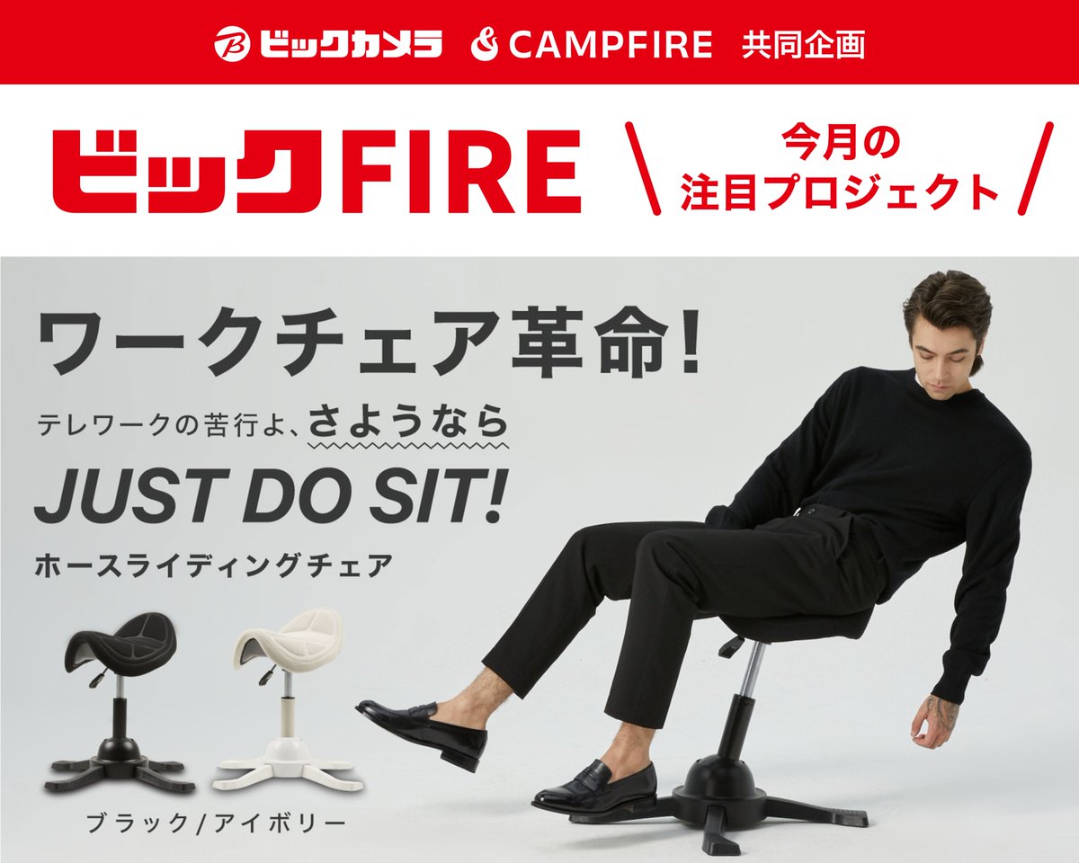 ビックカメラ :
