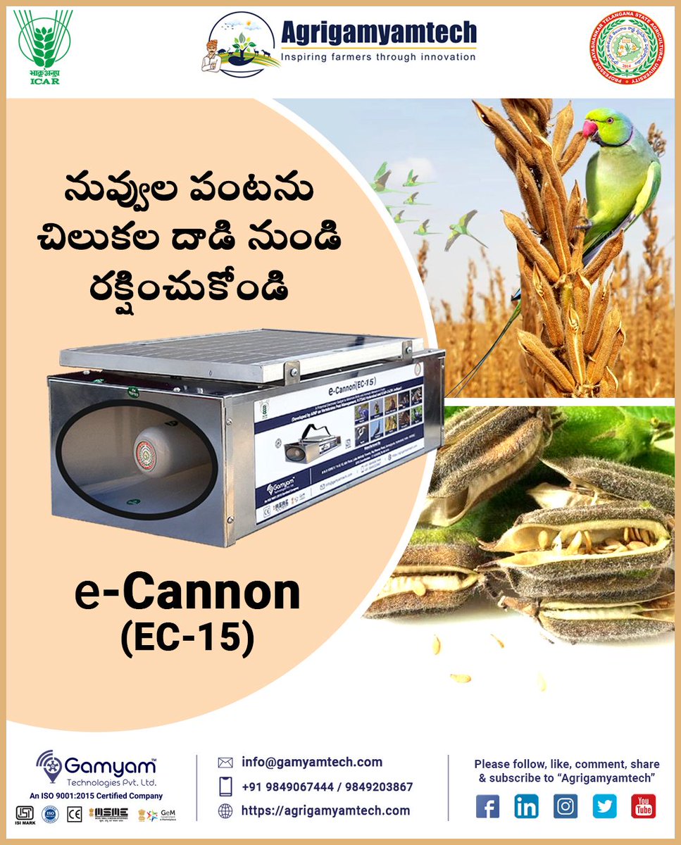 #sesamecrop #til #parrots #electroniccannon #deterbirds #bioacousticdevice #protectcrops #helpfarmer #ICAR #PJTSAU #gamyamtechnologies 

contact :9849067444