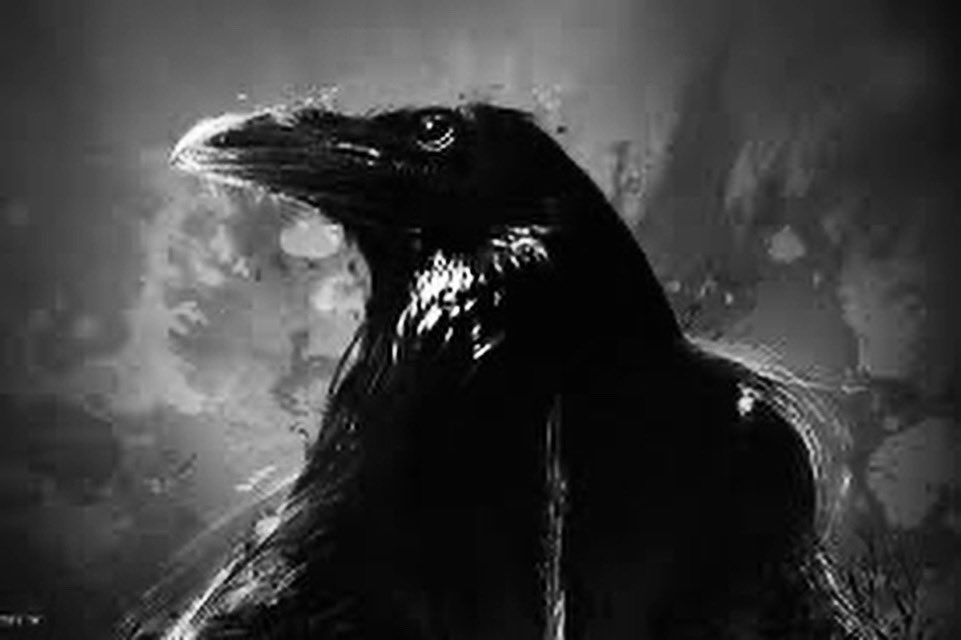 CorvusUnitedRecords tweet media