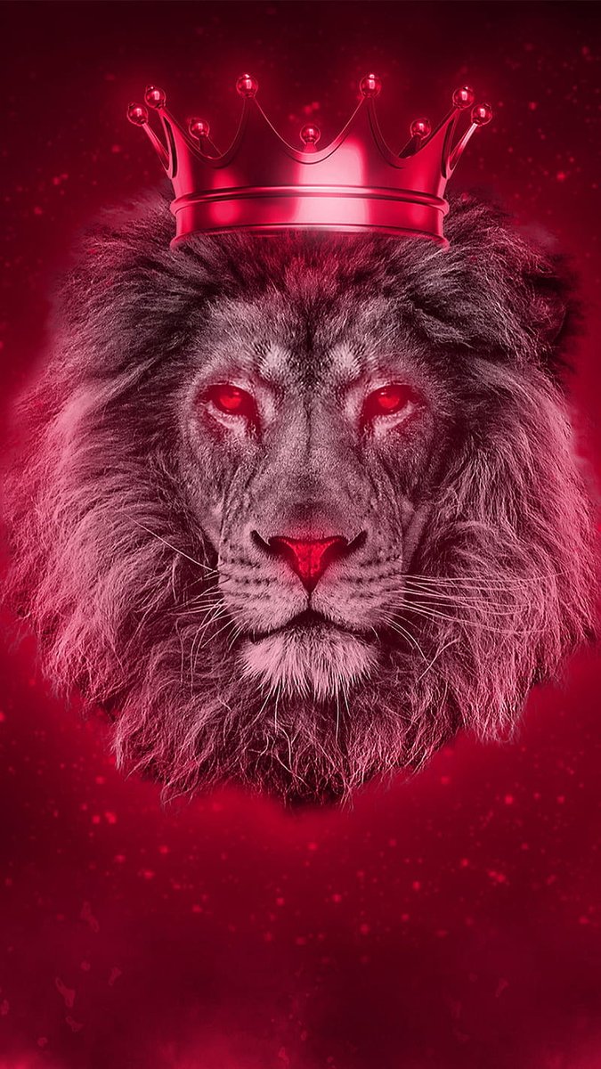 Alejandro_Jr0's tweet photo. Rodriguez Apple software developer Alejandro Rodriguez king https://t.co/IertLfAgWy
