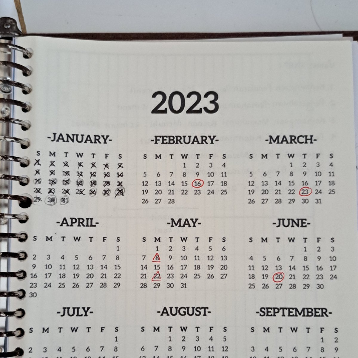 12forstudy's tweet image. H-98

aku mau nyoba2 untuk up progress hehe, semangatt
btw ini file TO mipy 5 dari @naiscroissant trims yaa 🙆‍♀️