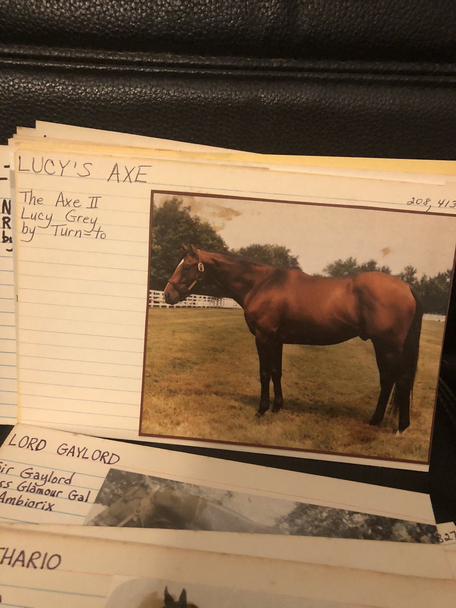 JackpotNick's tweet image. A son of #Greentree’s The Axe II named Lucy’s Axe won over 200K and sired some useful types