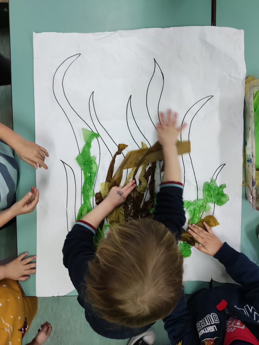 escolasadako's tweet image. El Gerard ens parla de la importància de la posidònia dins el marc de l' #ODS14 vida submarina. #ChangemakerED