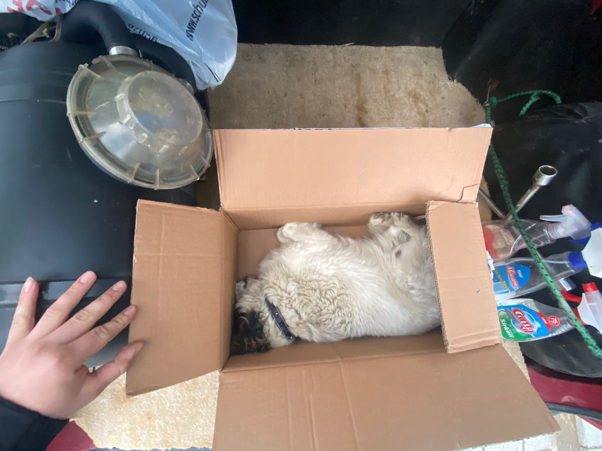 🆘‼️UŞAK BANAZ ZEHİRLEMELERDE ÇOK SAYIDA MASUM KAN KUSARAK ÖLDÜ‼️BUNLARI YAPANLAR CEZASIZ KALMAMALI‼️ Banaz’da ikamet eden INSANLARDAN RICAMIZDIR: Sokaklarında ki çöp kenarlarını,mama su konulan yerleri kontrol etsinler.MAVI RENKLI TOZ VE PARTİKÜL SEKLINDE BIR ZEHIR KULLANILARAK+