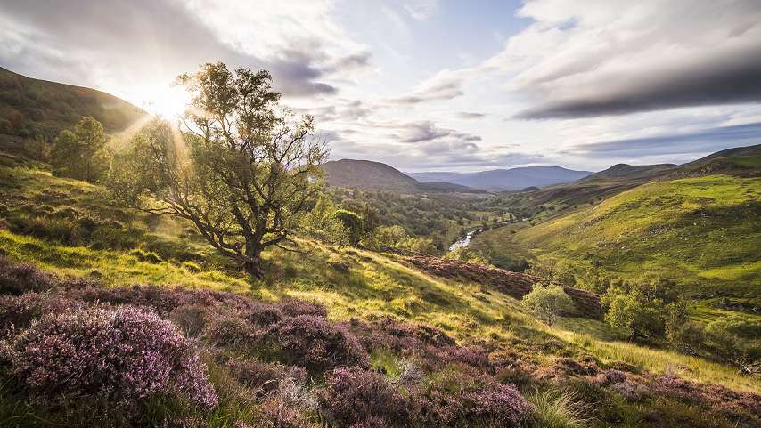 We’ve been reflecting on three years of our #NaturalCapital Laboratory, our joint rewilding project with landowners Roger Leese and @emisgoodeating, @AECOM and @UoCResearch. Follow us this week for highlights, and read the full report here: planengageuk.alytics.com/aecom-ncl-digi…