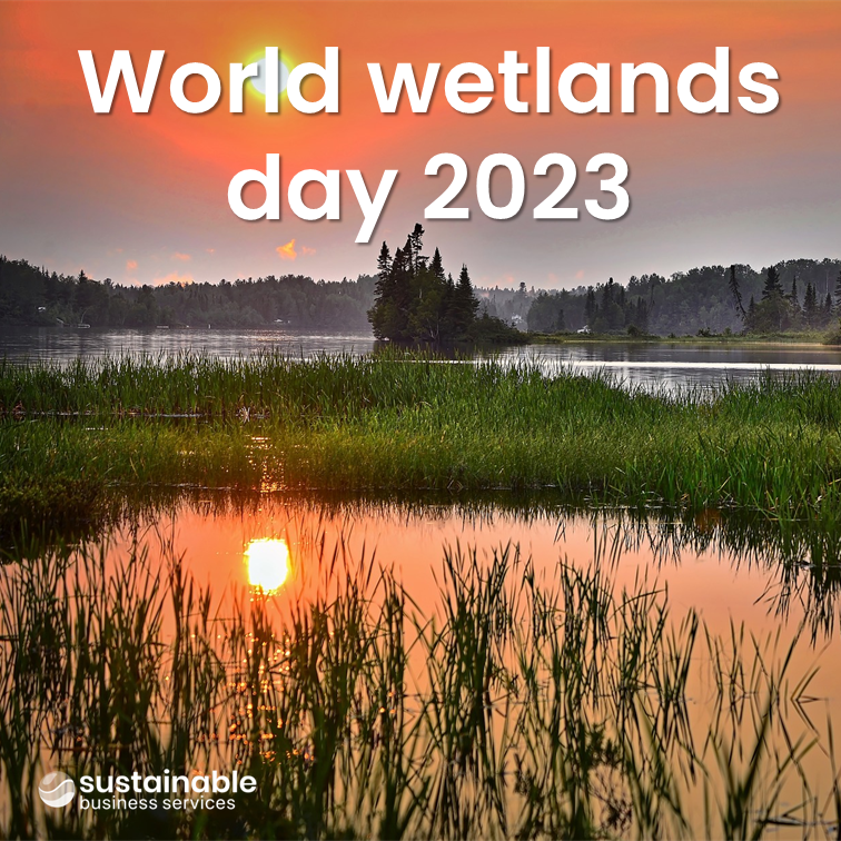World Wetlands Day 2023

35% of the world’s wetlands have disappeared in the last 50 years  here are 7 Benefits restoration

Revive biodiversity
Replenish and filter water supply
Store carbon
Blunt the impact of floods
Improve livelihoods
Boost eco-tourism
Enhance well-being