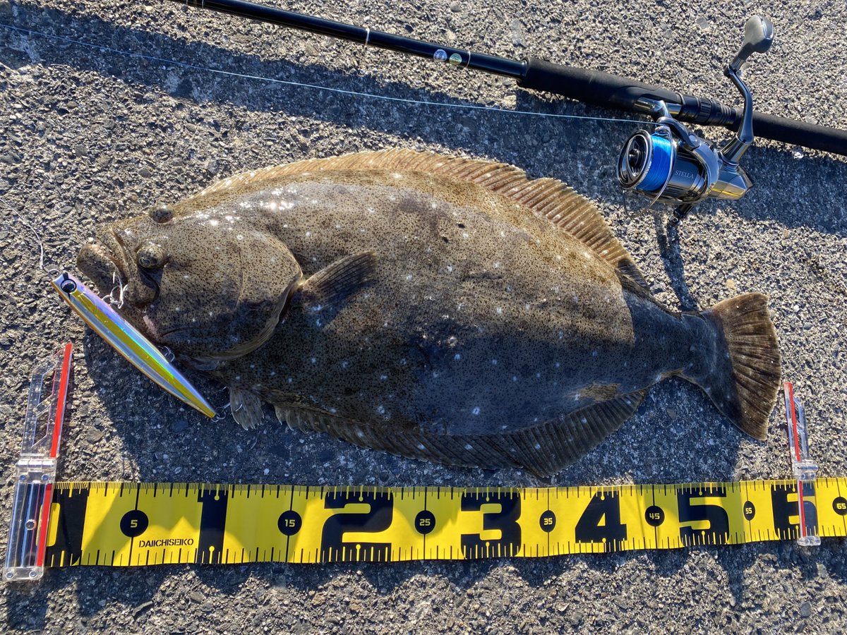 seabass_hirame's tweet photo. 小座布団ヒラメ
#ふるさと納税
#鹿児島県肝属郡南大隈町
#生まれ故郷のふるさと納税返礼品の
#かっ飛び棒130BR
#22ステラ3000MHG
#22STELLA3000MHG
#ヤマガブランクス
#YAMAGABlanks
#EarlyPlus96m https://t.co/DTe0jrqSbW