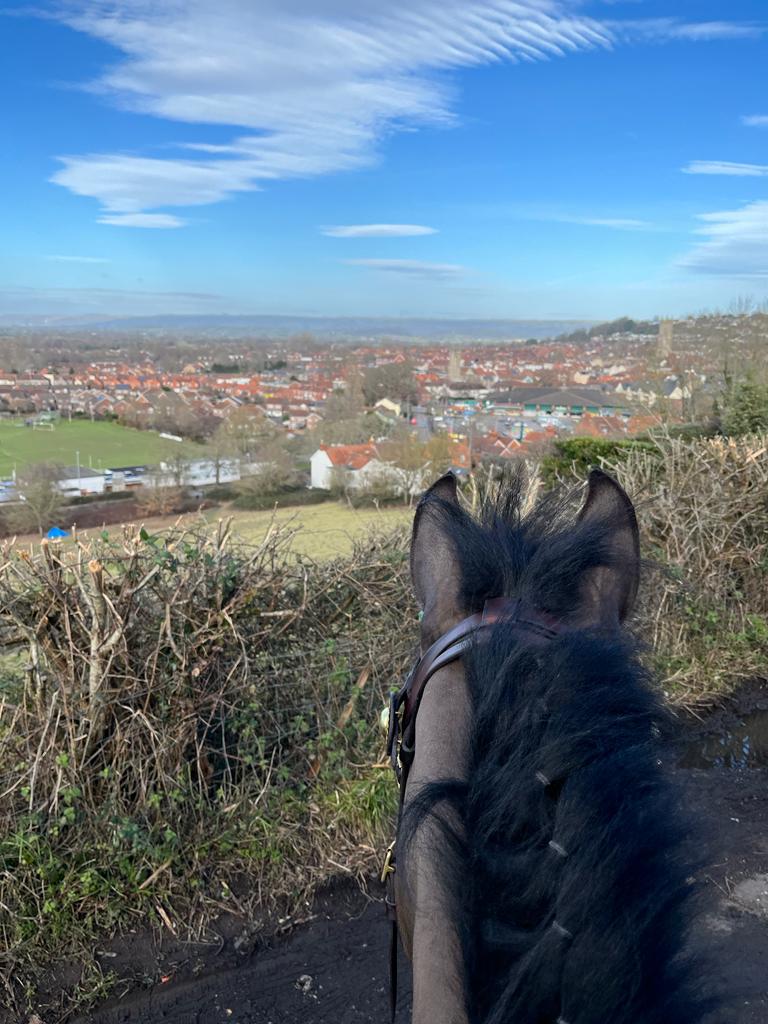 Windsor has been out in Glastonbury tackling anti social behaviour, he returns today with Oscar 🐴⛅ #communitypatrols