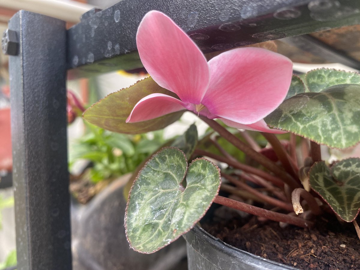 Vinita Agrawal tweet media