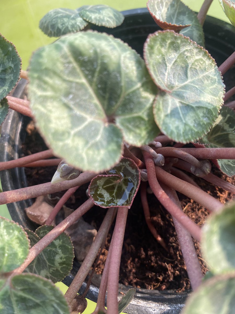 Vinita Agrawal tweet media