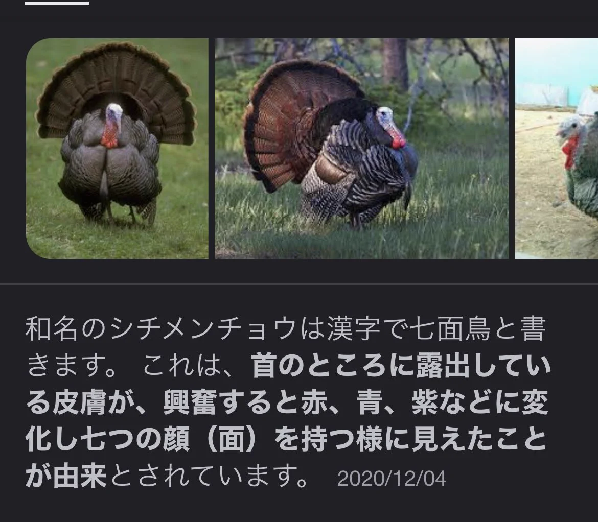 クラフトパンチ　七面鳥 Fny5ocaacAInV_Y?format=webp&