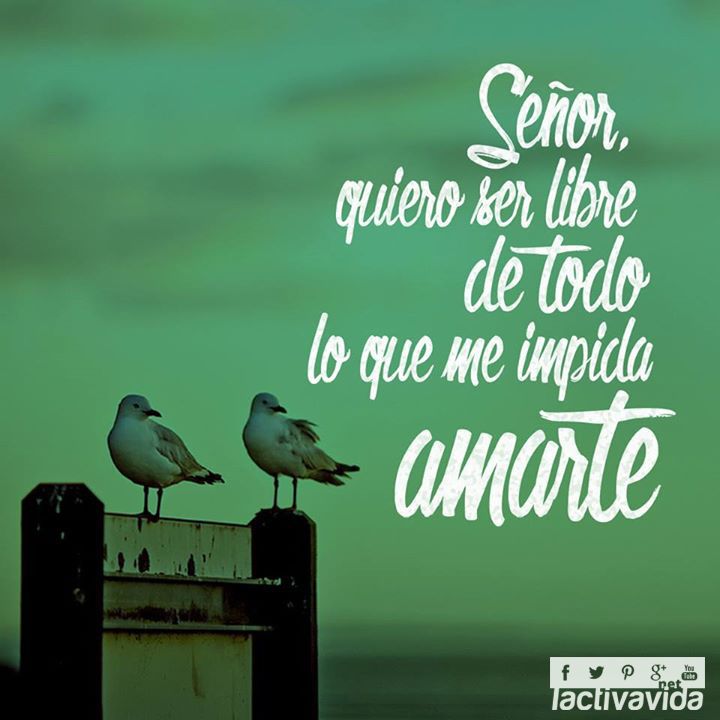sjmarevalo's tweet photo. Señor quiero ser libre... https://t.co/0k3M3ps0Is